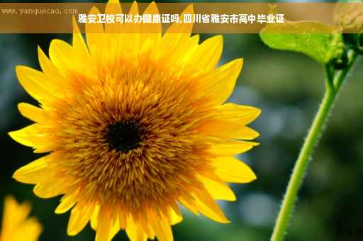 雅安卫校可以办健康证吗,四川省雅安市高中毕业证
