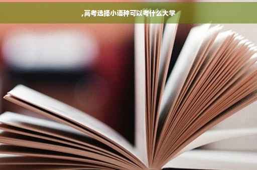 ,高考选择小语种可以考什么大学