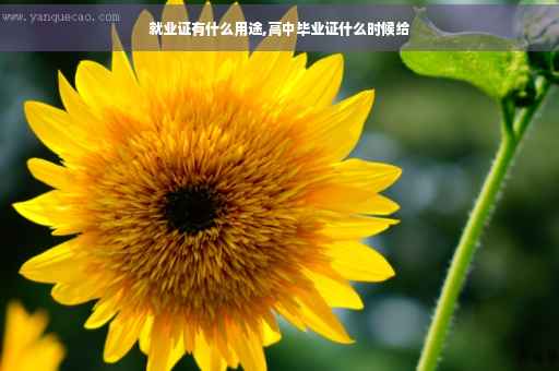 就业证有什么用途,高中毕业证什么时候给