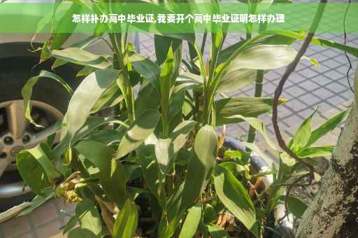 怎样补办高中毕业证,我要开个高中毕业证明怎样办理