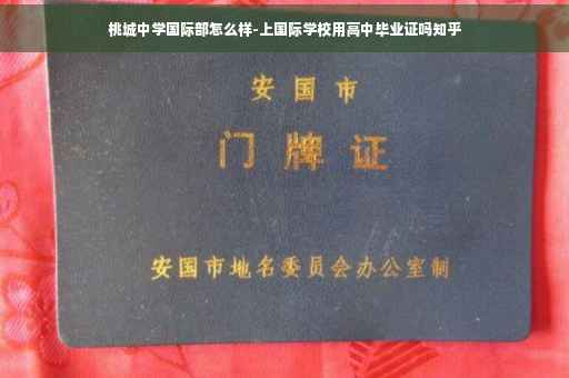 桃城中学国际部怎么样-上国际学校用高中毕业证吗知乎