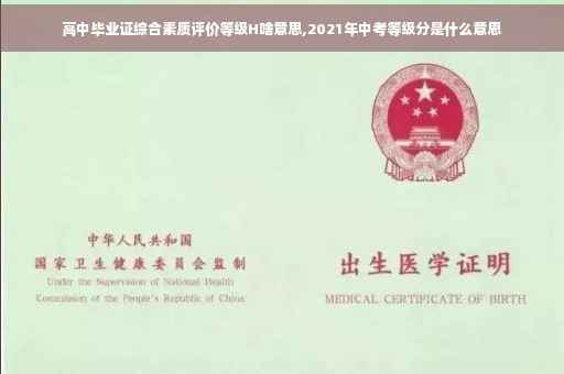 高中毕业证综合素质评价等级H啥意思,2021年中考等级分是什么意思
