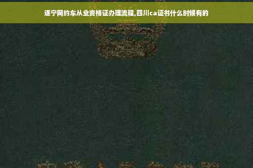 遂宁网约车从业资格证办理流程,四川ca证书什么时候有的