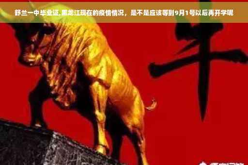 舒兰一中毕业证,黑龙江现在的疫情情况，是不是应该等到9月1号以后再开学呢