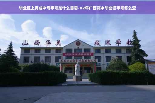 毕业证上有成中专字号是什么意思-02年广西高中毕业证字号怎么查
