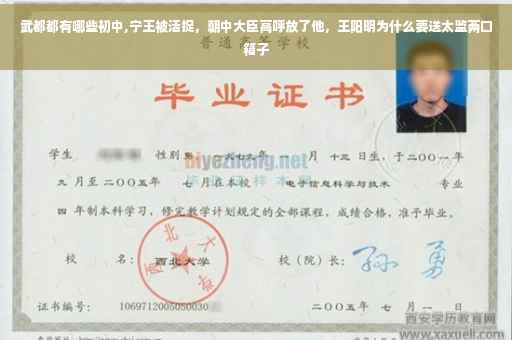 武都都有哪些初中,宁王被活捉，朝中大臣高呼放了他，王阳明为什么要送太监两口箱子