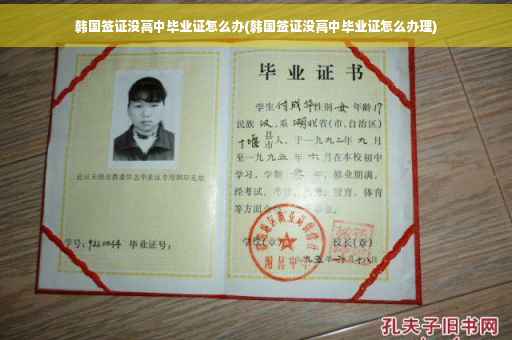 韩国签证没高中毕业证怎么办(韩国签证没高中毕业证怎么办理)