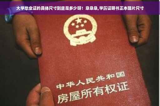 大学毕业证的具体尺寸到底是多少呀！急急急,学历证明书正本图片尺寸
