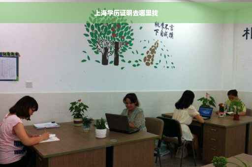 上海学历证明去哪里找
