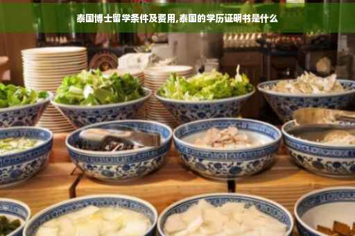 泰国博士留学条件及费用,泰国的学历证明书是什么
