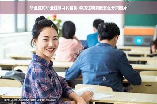 毕业证和毕业证明书的区别,学历证明真假怎么分辨图片
