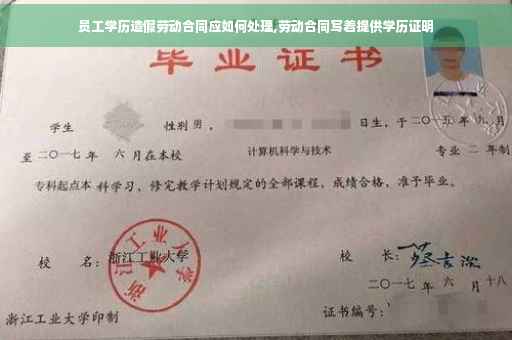 员工学历造假劳动合同应如何处理,劳动合同写着提供学历证明

