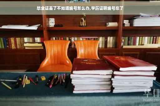 毕业证丢了不知道编号怎么办,学历证明编号忘了
