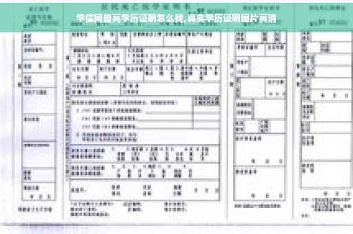 学信网最高学历证明怎么找,真实学历证明图片高清
