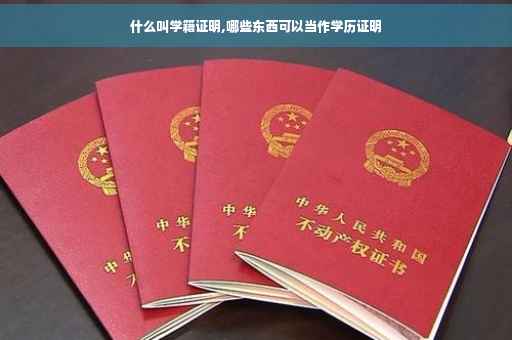 什么叫学籍证明,哪些东西可以当作学历证明
