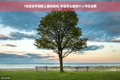 ?毕业证学信网上查的到吗,学籍怎么查询个人学历证明
