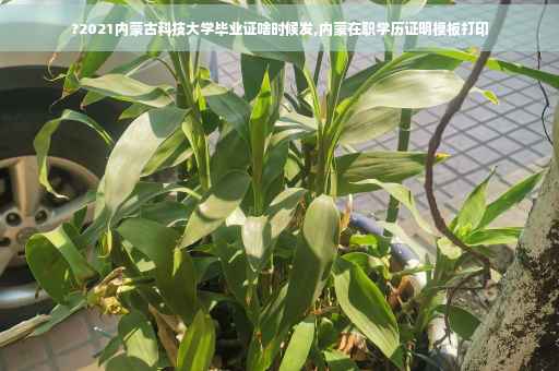 ?2021内蒙古科技大学毕业证啥时候发,内蒙在职学历证明模板打印
