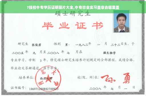 ?技校中专学历证明图片大全,中专毕业实习盖章去哪里盖