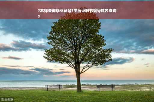 ?怎样查询毕业证号?学历证明书编号姓名查询
?