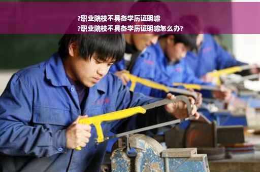 ?职业院校不具备学历证明嘛
?职业院校不具备学历证明嘛怎么办?