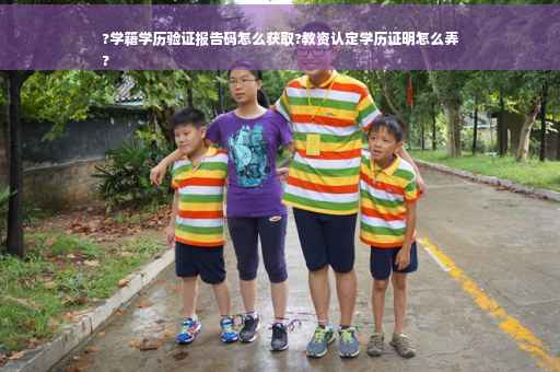 ?学籍学历验证报告码怎么获取?教资认定学历证明怎么弄
?