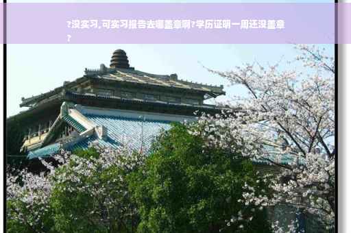 ?没实习,可实习报告去哪盖章啊?学历证明一周还没盖章
?