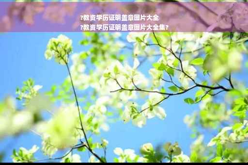 ?教资学历证明盖章图片大全
?教资学历证明盖章图片大全集?