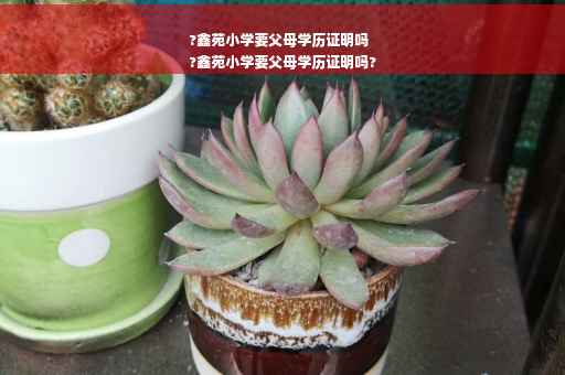 ?鑫苑小学要父母学历证明吗
?鑫苑小学要父母学历证明吗?