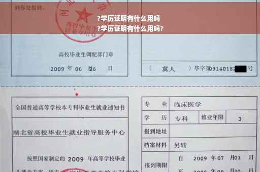 ?学历证明有什么用吗
?学历证明有什么用吗?