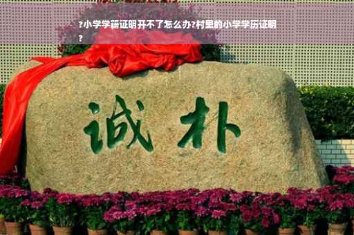 ?小学学籍证明开不了怎么办?村里的小学学历证明
?