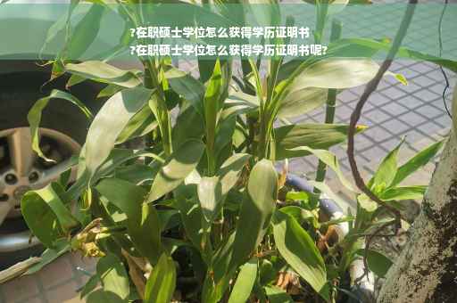 ?在职硕士学位怎么获得学历证明书
?在职硕士学位怎么获得学历证明书呢?