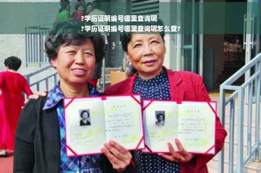 ?学历证明编号哪里查询呢
?学历证明编号哪里查询呢怎么查?
