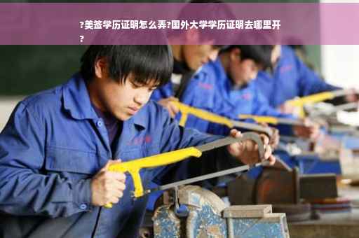?美签学历证明怎么弄?国外大学学历证明去哪里开
?