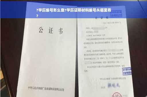 ?学历编号怎么查?学历证明材料编号从哪里看
?