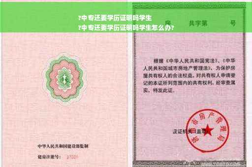 ?中专还要学历证明吗学生
?中专还要学历证明吗学生怎么办?