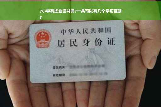 ?小学有毕业证书吗?一共可以有几个学历证明
?