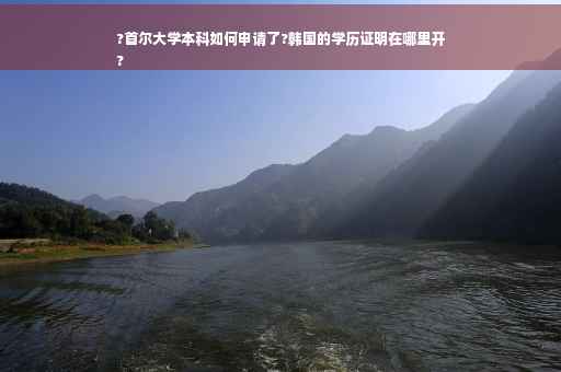 ?首尔大学本科如何申请了?韩国的学历证明在哪里开
?