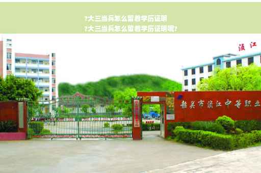 ?大三当兵怎么留着学历证明
?大三当兵怎么留着学历证明呢?