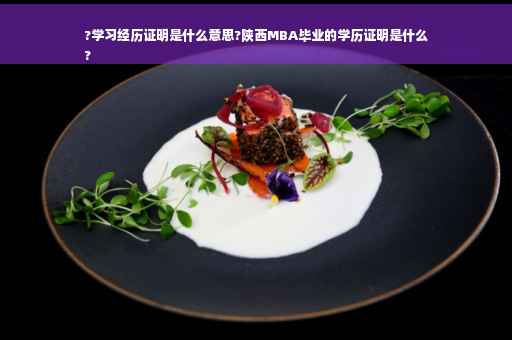 ?学习经历证明是什么意思?陕西MBA毕业的学历证明是什么
?