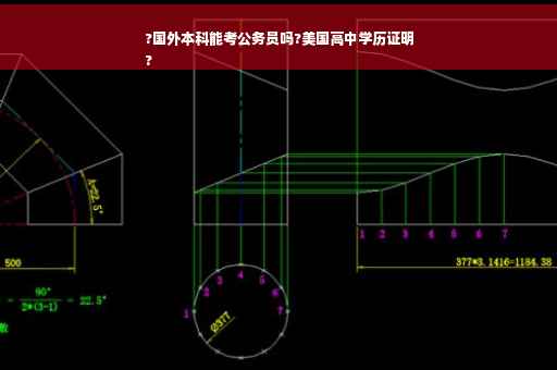 ?国外本科能考公务员吗?美国高中学历证明
?