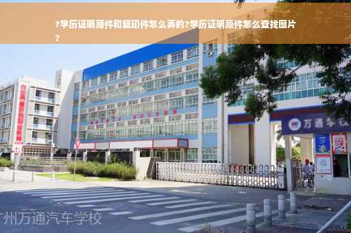 ?学历证明原件和复印件怎么弄的?学历证明原件怎么查找图片
?