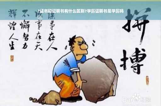 ?证书和证明书有什么区别?学历证明书是学历吗
⚡️