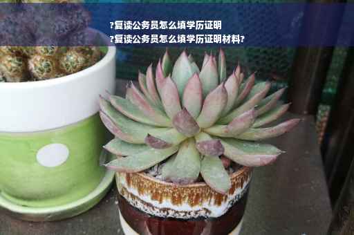 ?复读公务员怎么填学历证明
?复读公务员怎么填学历证明材料?