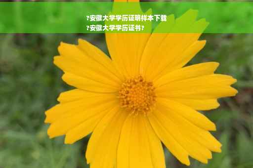 ?安徽大学学历证明样本下载
?安徽大学学历证书?