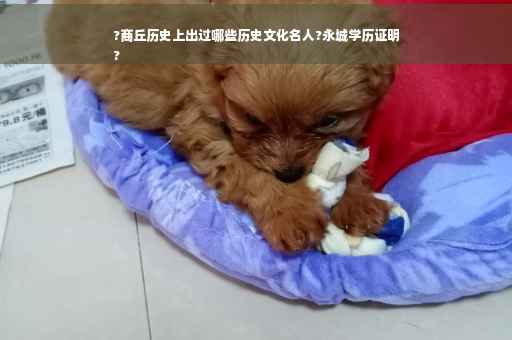 ?商丘历史上出过哪些历史文化名人?永城学历证明
?