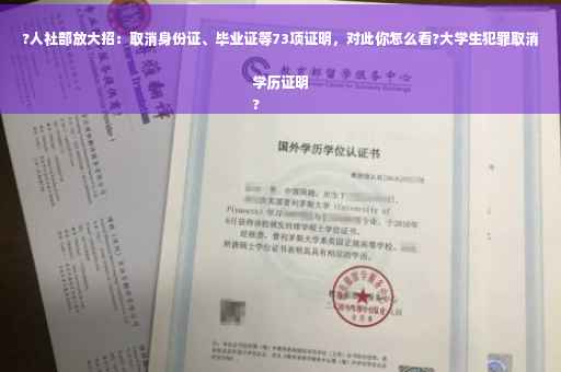 ?人社部放大招：取消身份证、毕业证等73项证明，对此你怎么看?大学生犯罪取消学历证明
?