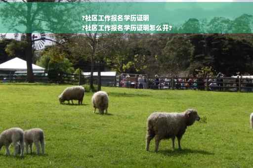 ?社区工作报名学历证明
?社区工作报名学历证明怎么开?