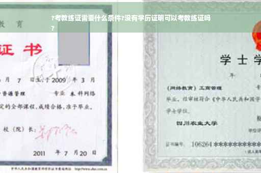 ?考教练证需要什么条件?没有学历证明可以考教练证吗
?