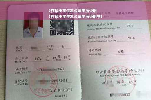 ?在读小学生怎么填学历证明
?在读小学生怎么填学历证明书?