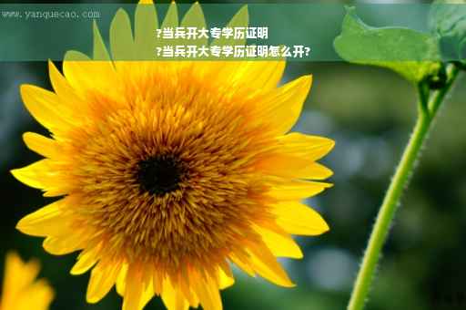 ?当兵开大专学历证明
?当兵开大专学历证明怎么开?